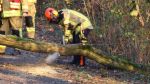Ast/Baum auf Straße; ca. 100m Richtung Markranstädt auf dem Radweg