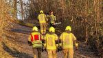 Ast/Baum auf Straße; ca. 100m Richtung Markranstädt auf dem Radweg