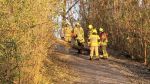 Ast/Baum auf Straße; ca. 100m Richtung Markranstädt auf dem Radweg