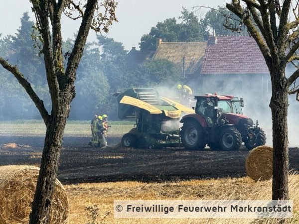 Brand Mittel Fläche/Feld