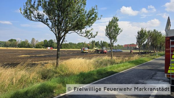 Brand Mittel Fläche/Feld