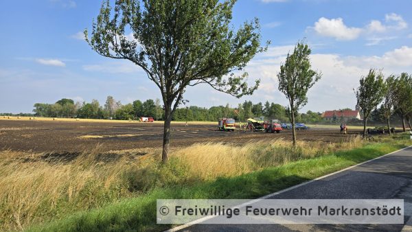 Brand Mittel Fläche/Feld