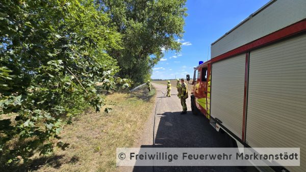 Brand Mittel Fläche/Wald