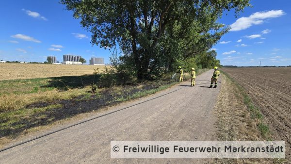 Brand Mittel Fläche/Wald