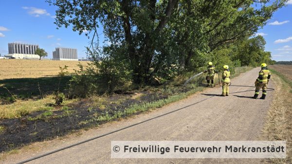 Brand Mittel Fläche/Wald