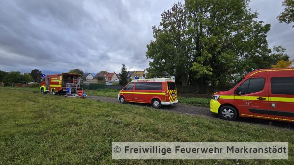 Verunreinigung auf Bach