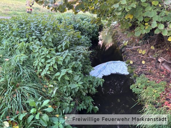 Verunreinigung auf Bach