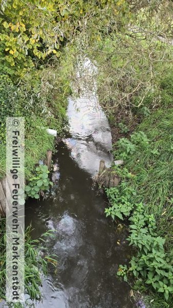 Verunreinigung auf Bach