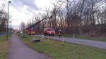 Lose Baumkrone