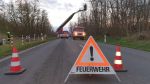 Lose Baumkrone