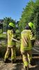 Brand Wiese