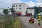 Müllcontainer/-tonne; containerbrand mit holzabfällen.