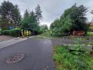 Ast/Baum auf Straße