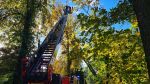 Ast/Baum; Baum droht auf Haus zu Stürzen.
