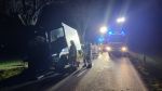 VU LKW gegen Baum