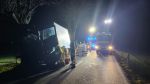 VU LKW gegen Baum