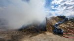 Brand Wiese/Ödland