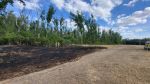 Waldbrand