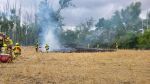 Waldbrand > 100 qm