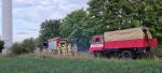 Brand Baumstümpfe