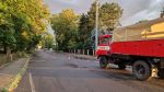 Ast/Baum auf Stromleitung