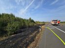 Brand Wiese/Ödland > 100 qm