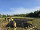 Brand Wiese/Ödland > 100 qm